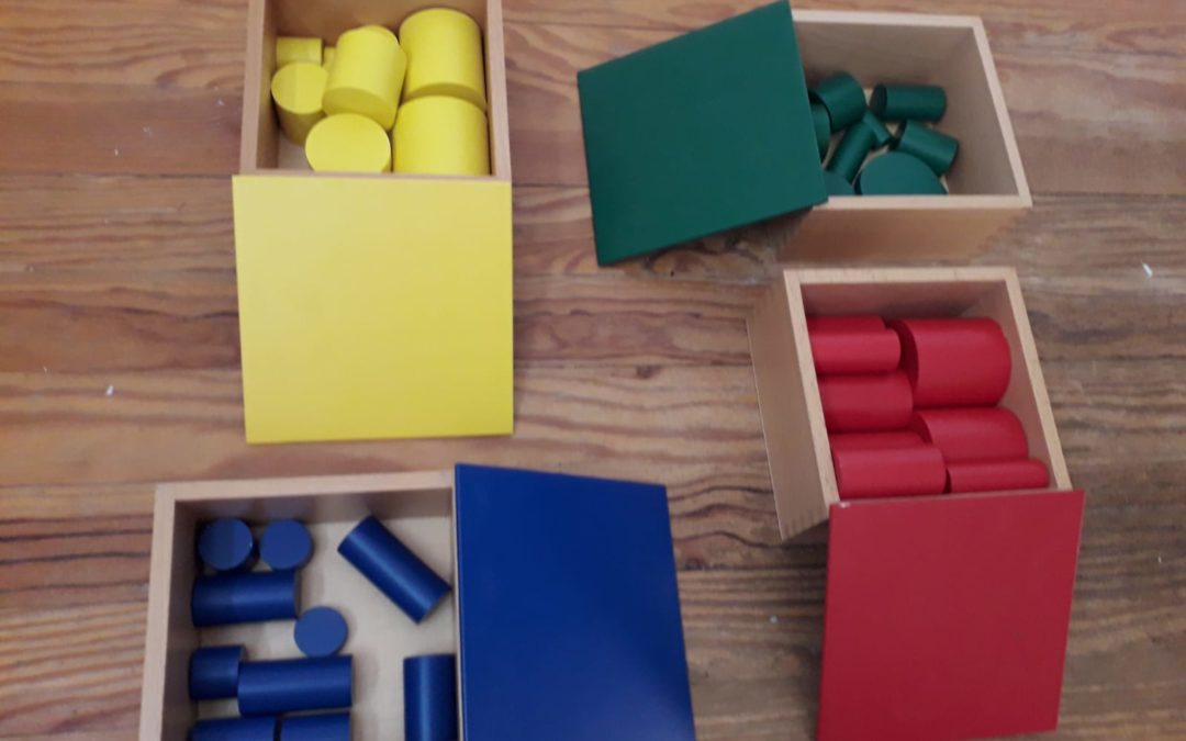 Cylindres de couleur en hêtre