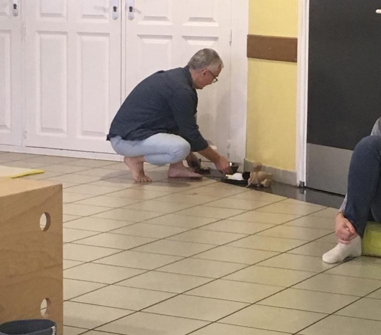 L’activité des adultes lors des ateliers JeJoueMot’, une autre proposition d’accompagnement de l’enfant