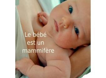 Le bébé est un mammifère
