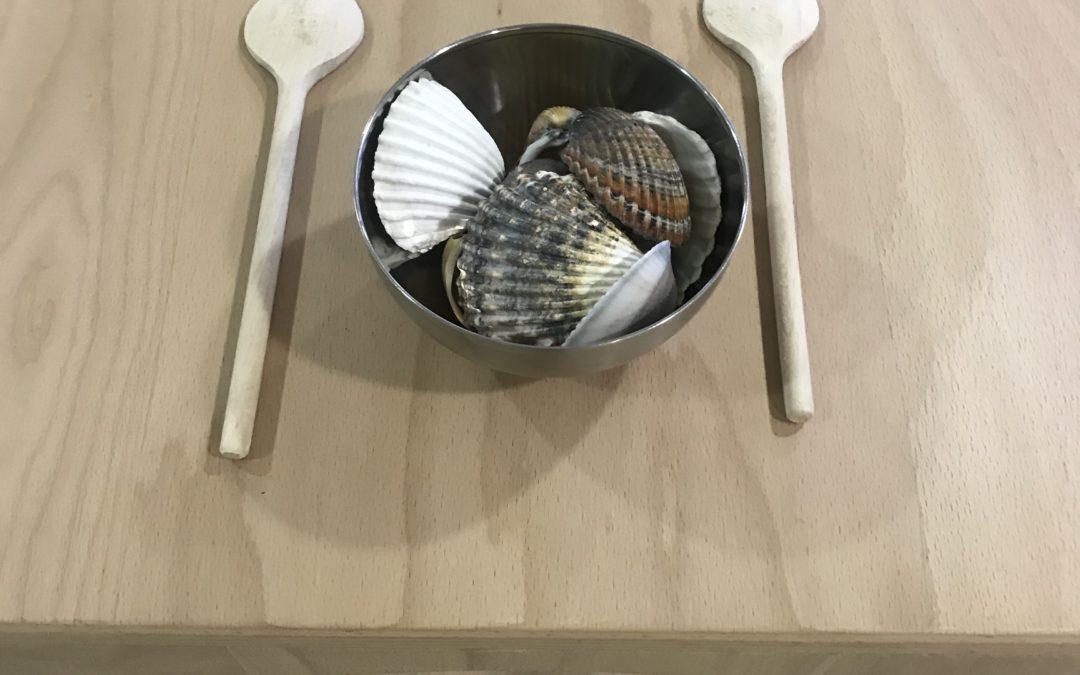 Retour en images sur le mois de janvier