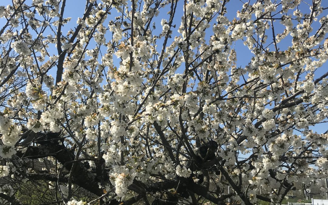 Retour en images sur le mois d’avril