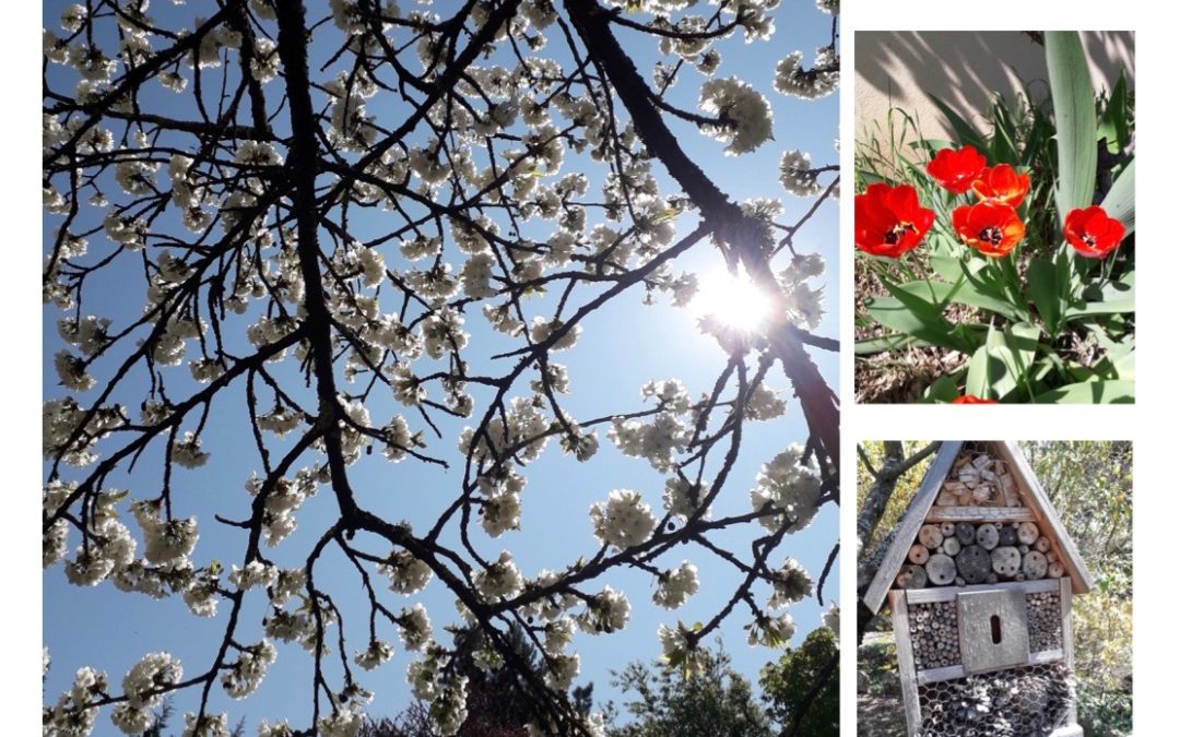 Rétrospective des partages de la semaine du 3 avril