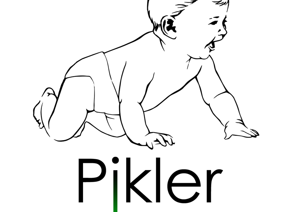 Pikler Inspiration, le réseau de partage “Piklérien”