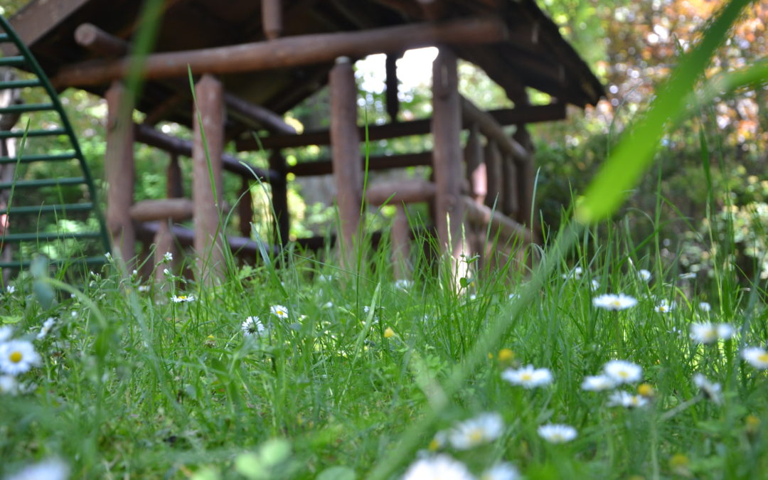 Rétrospective semaine 4 juillet