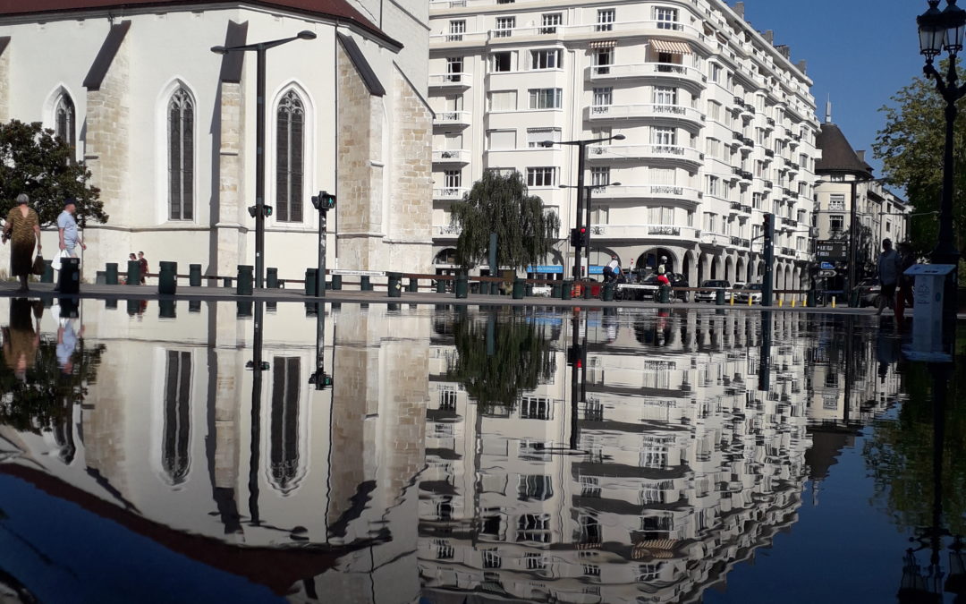 Rétrospective de la semaine du 1er août