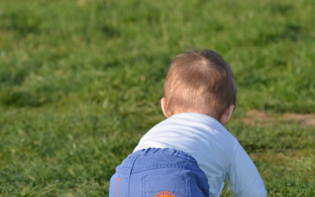 Diaporama étape 11: se déplacer à 4 pattes