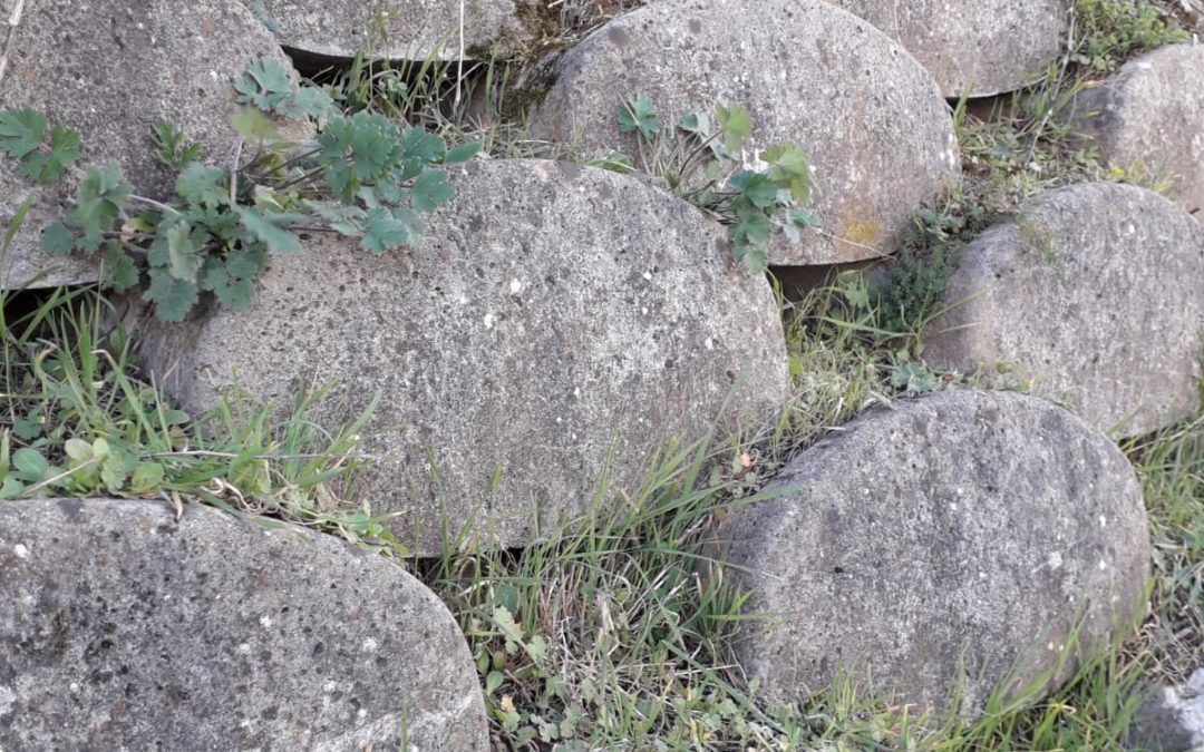 Exercer sa motricité à l’extérieur