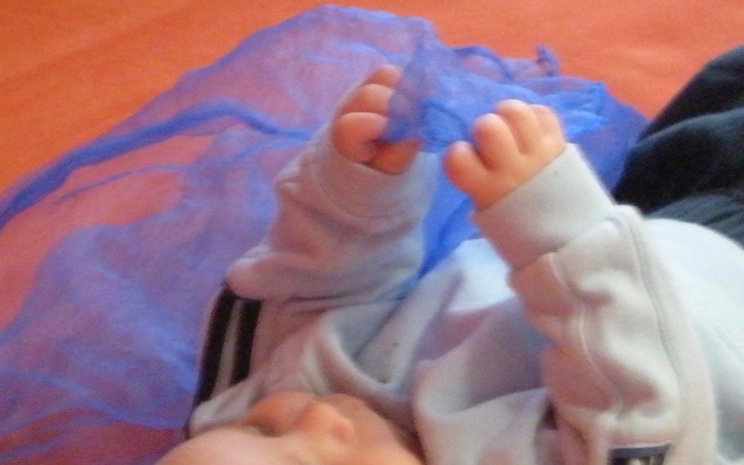 … Froufrou … Soyeux