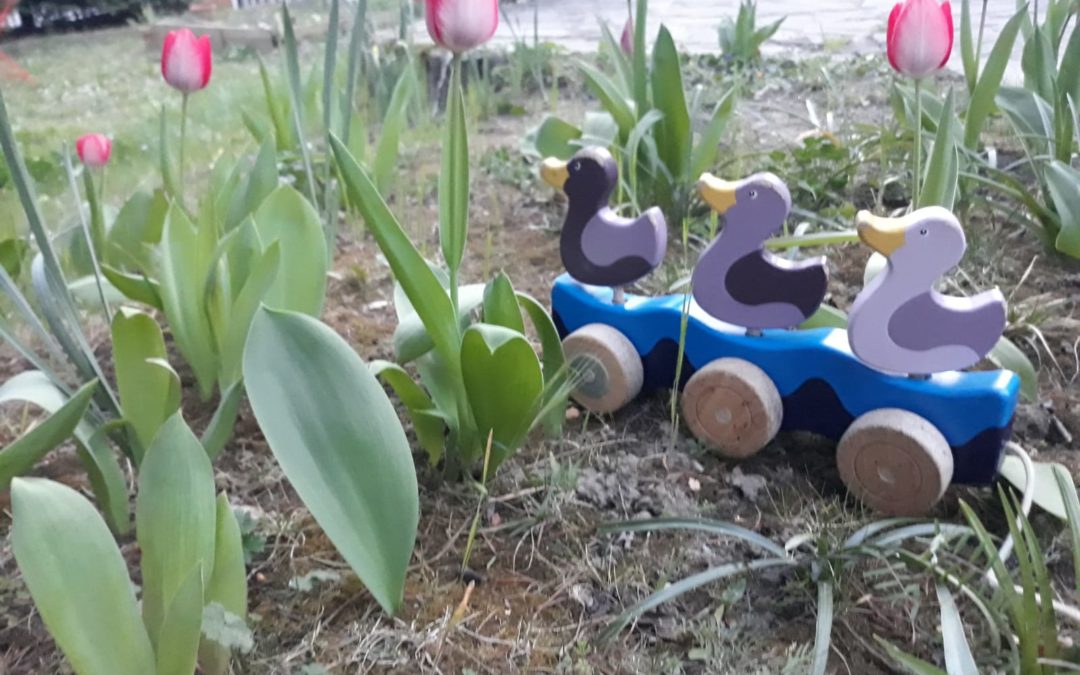 PanoraMot’ mars – avril