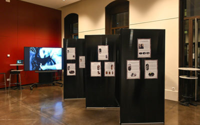 Travail d’étudiants de Lettres Modernes sur l’exposition d’Émilie Tolot, UCLy