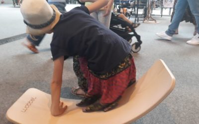 Objet non identifié sur le tapis du salon …