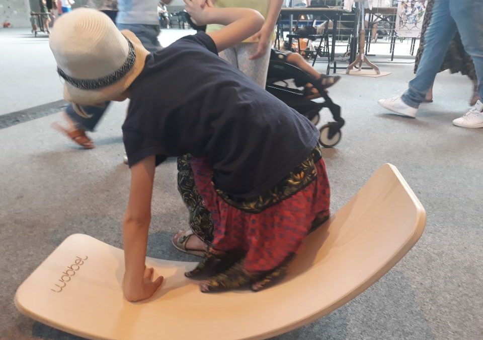 Objet non identifié sur le tapis du salon …