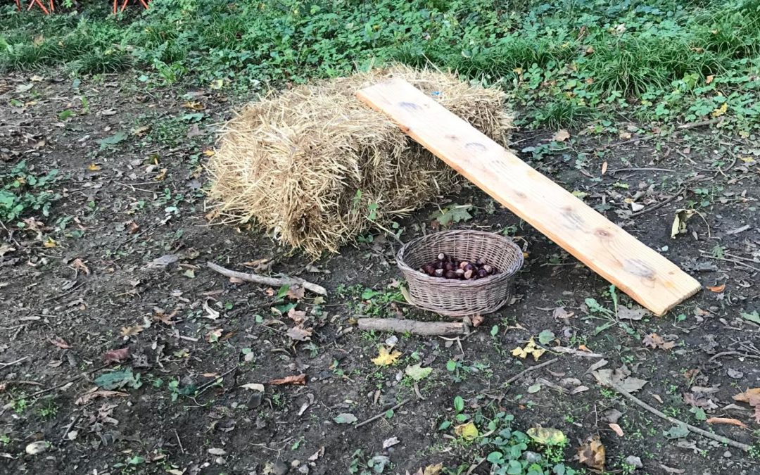 Botte de paille
