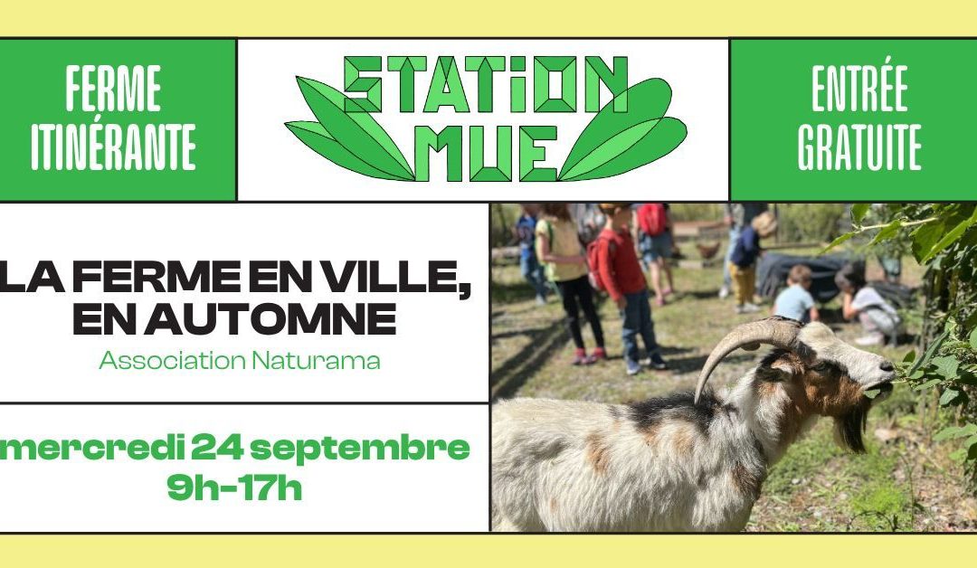 Ferme en ville, cours Charlemagne