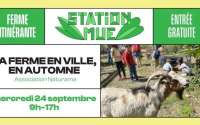 Ferme en ville, cours Charlemagne